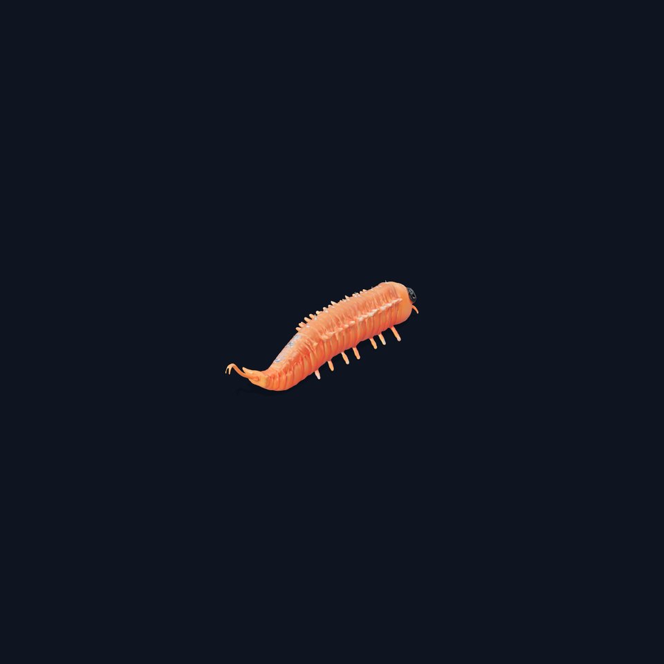 Cartoon Centipede Model Pack with Detailed Textures